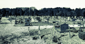 Cimetière avec croix en bois. Graveyard cemetery with wooden crosses.